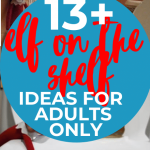 Adult Elf on the Shelf ideas