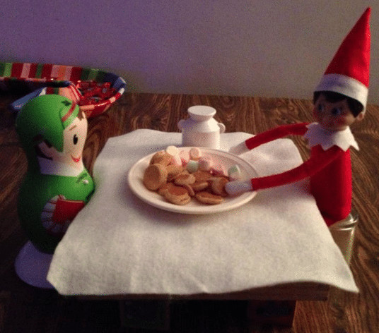 Elf has a tea party