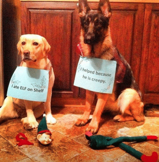 Elf on the Shelf dogs