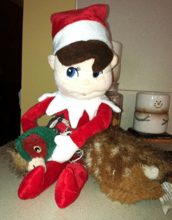 Interesting & Slightly Inappropriate Elf On the Shelf Ideas