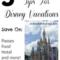 5 Money Saving Tips for Disney