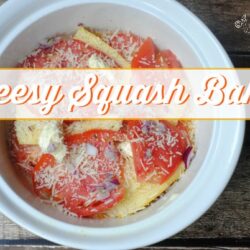 cheesy squash bake