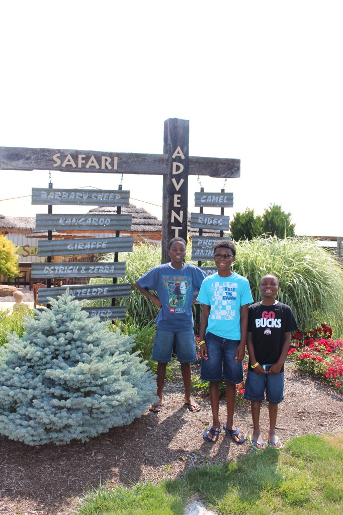 boys at the adventure park