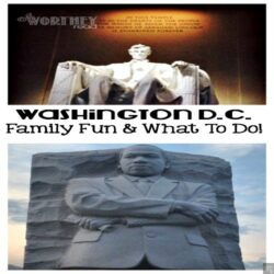 family travel, going to washington DC on a budget