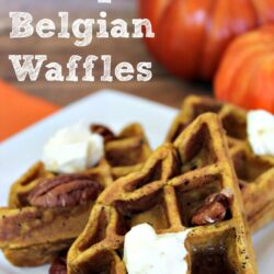 The Perfet Pumpkin Belgain Waffles- perfect for a fall breakfast morning!