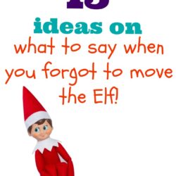 Did you forget to move the Elf? You're scrambling for something witty to say to the kids that are starting to question you WHY the Elf is still in the same place. Read 15 Ideas On What To Say When You Forgot To Move The Elf for quick ideas! We have your Elf On The Shelf Dilemma covered. Be sure to pin it to your Elf on the Shelf Board!