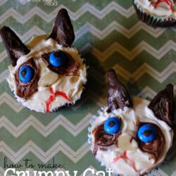 We all have a love/hate relationship with the famous Grumpy Cat. Now make grumpy cat cupcakes with this tutorial: How To Make Grumpy Cat Cupcakes Recipe