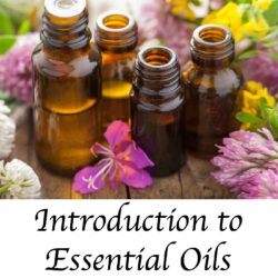 I recently started using Essential Oils and I'm impressed of what it has done for me and my family. Here's an Introduction to Essential Oils and my journey so far!