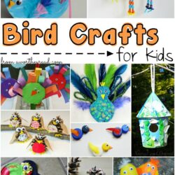 Have fun with these easy outdoor activities for kids! Find the coolest Bird Crafts that kids can make!