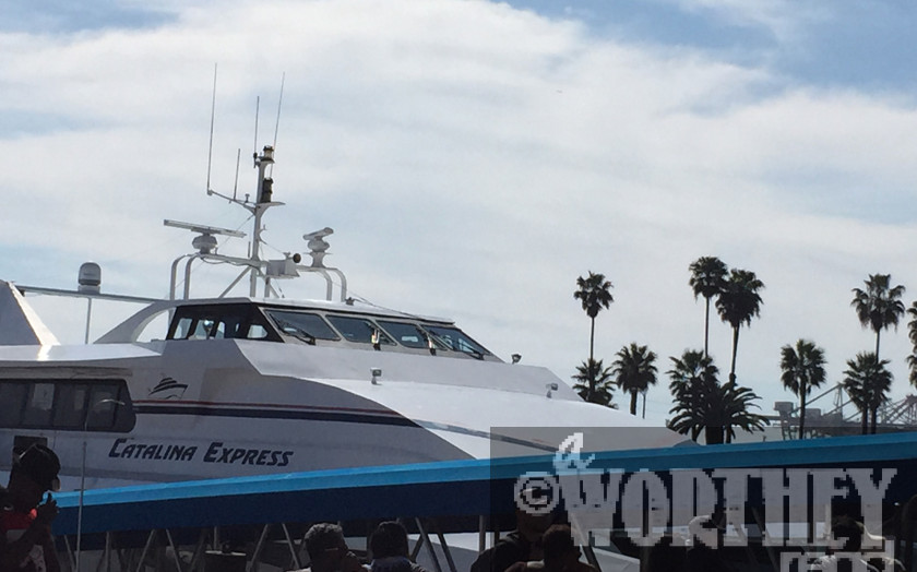 Catalina Express, Catalina Ferry