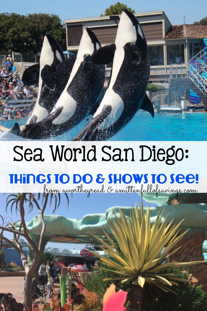 Planning a trip to San Diego Sea World? Read about the things that you should do, shows to see, including our favorite shows. I also included savings tips and how to make the most of your day at Sea World San Diego!