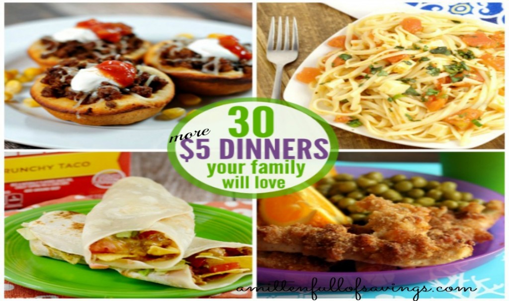 $5 Dinners Your Family Will Love Over 30 Recipes!