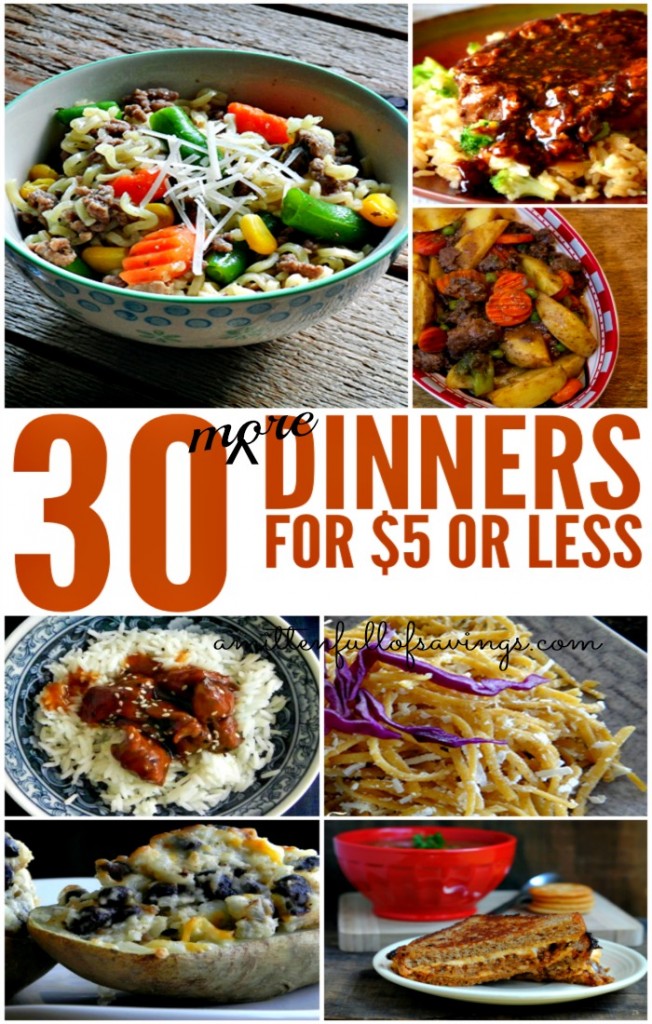 $5 Dinners Your Family Will Love Over 30 Recipes!