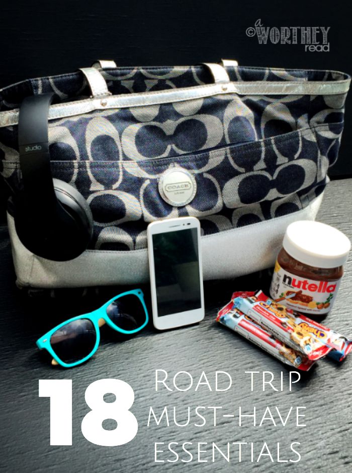 men's road trip essentials