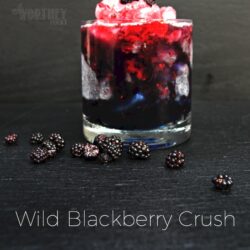 Drink Recipe Wild Blackberry Crush