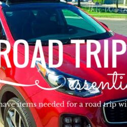 Planning a road trip this summer? Be sure to read our travel tips on the must-have road trip essentials. These road trip must-have items are vital to your road trip success! Get our road trip essential list below!