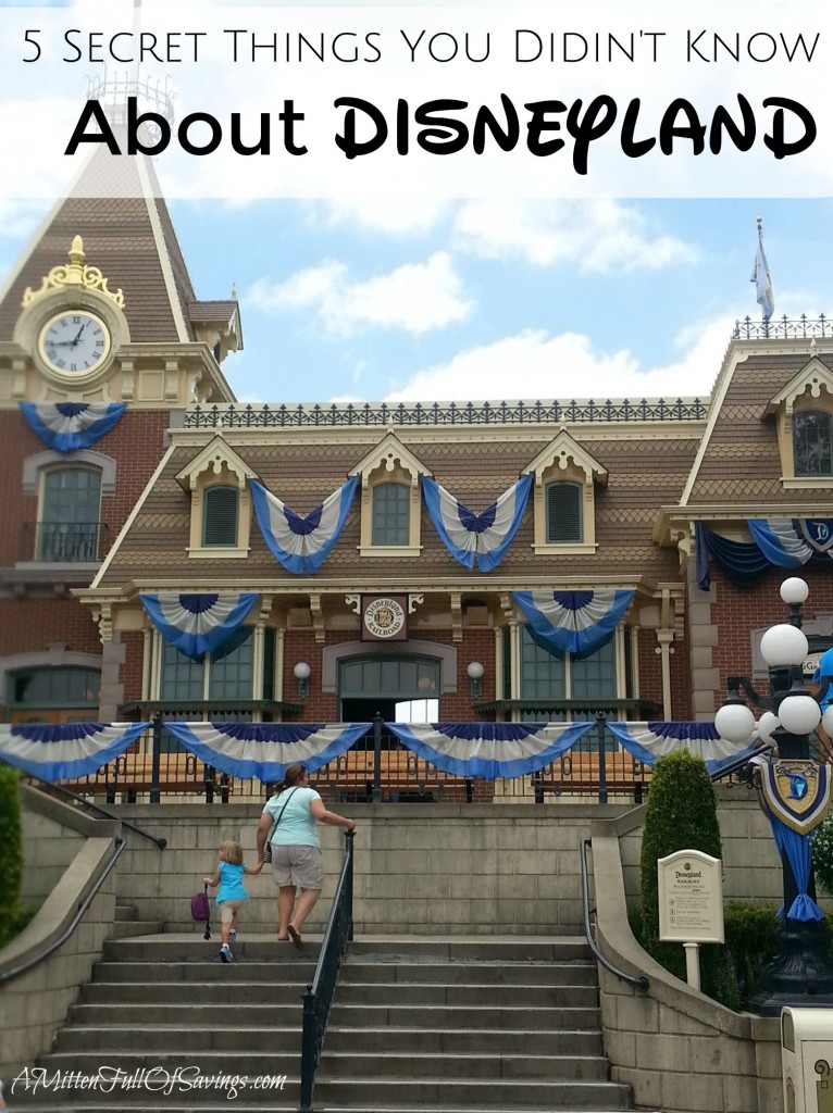 5 Secret Things You Didnt Know About Disneyland