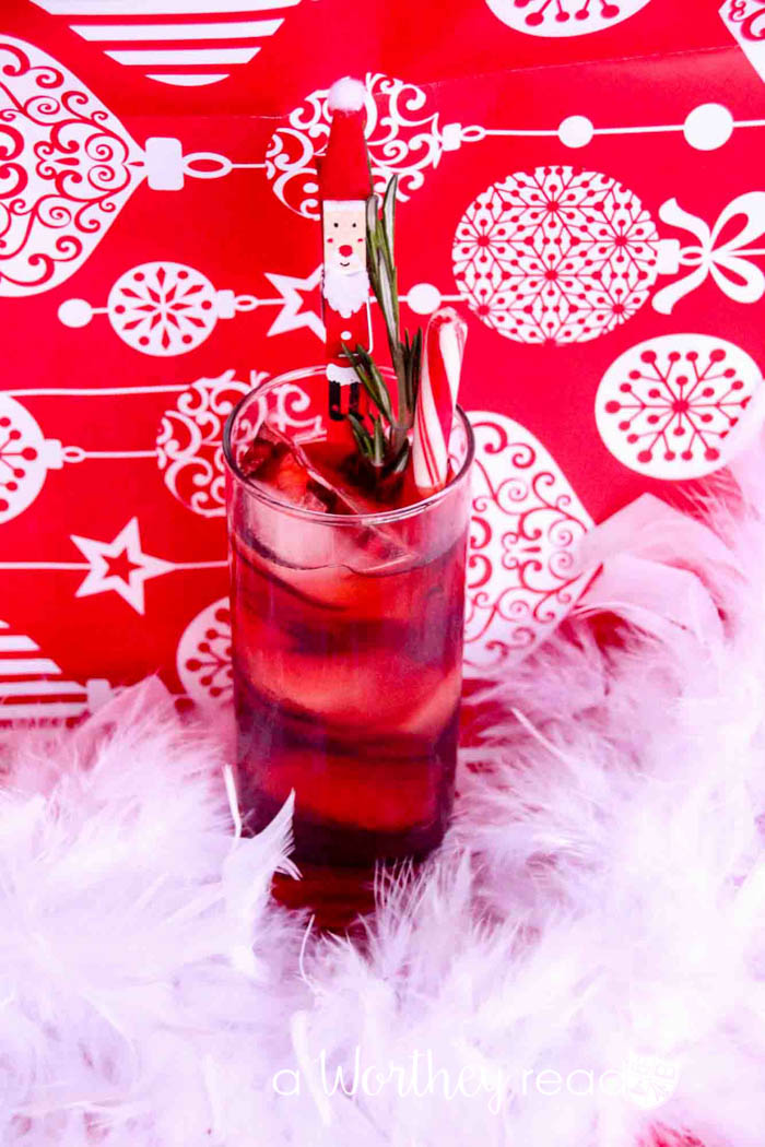 Easy Christmas Cocktail - The SANTA