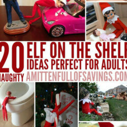 20 Naughty Elf on the Shelf Ideas for Adults