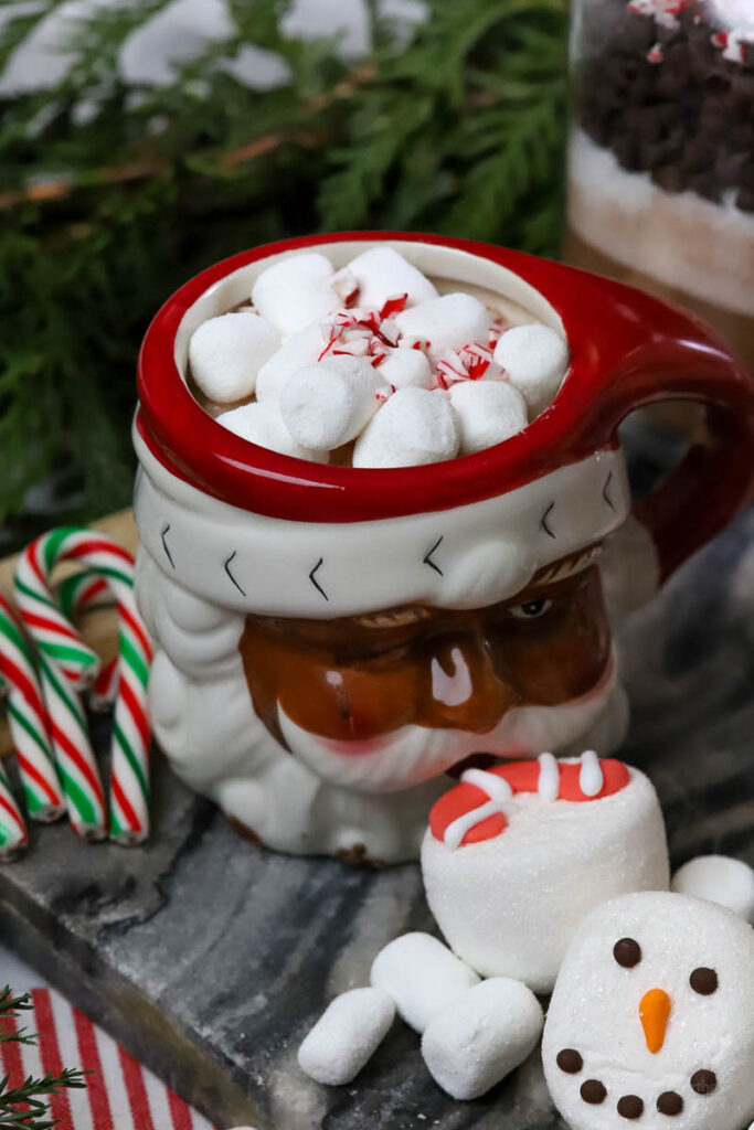 cup of hot peppermint cocoa in a santa mug