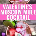 Best vodka to use for a Moscow mule