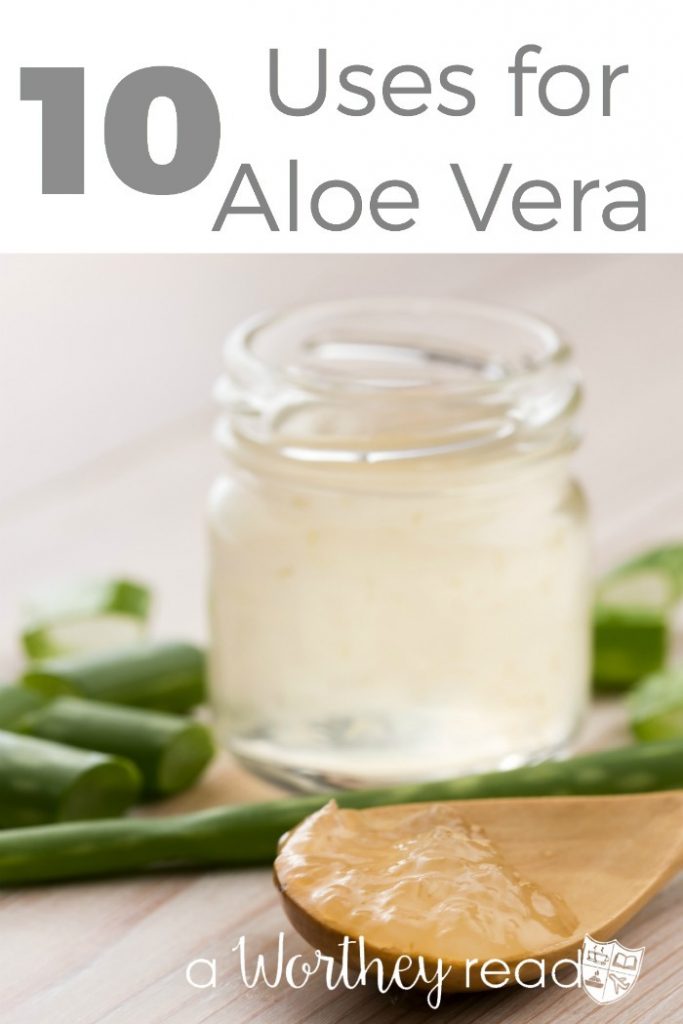 There are many ways you can use Aloe Vera. Natural medicines and natural ways to cure yourself is best for you and your family. Here's 10 Uses for Aloe Vera