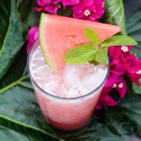 Guava Margarita Recipe