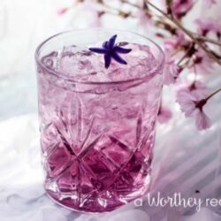 The Purple Rain Cocktail- dubbed after the late Prince Nelson Rogers. This cocktail is not only a pretty purple, but with Viniq Shimmering Liqueur and Stolichnaya Elit, you can't go wrong. Planning a Prince party? Be sure the purple rain is being served at the bar.