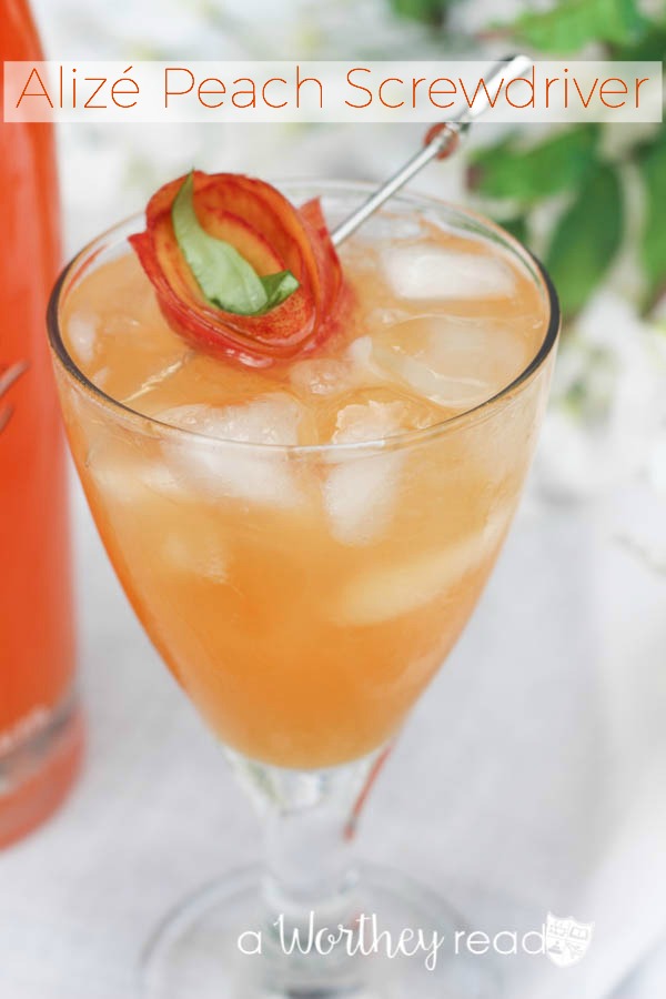 My Favorite Alizé Passion Summer Cocktail Recipes! ⋆ Brite and Bubbly