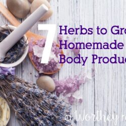 Do you like to create and make your own homemade products? Here's the herbs you should be growing or using to make homemade bath and body products. Great DIY gift ideas for Moms or a birthday too! Herbs to Grow for Homemade Bath and Body Products