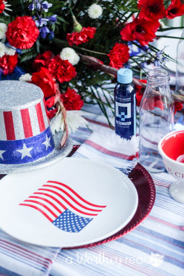 Red, White & Blue Outdoor Party Theme-23