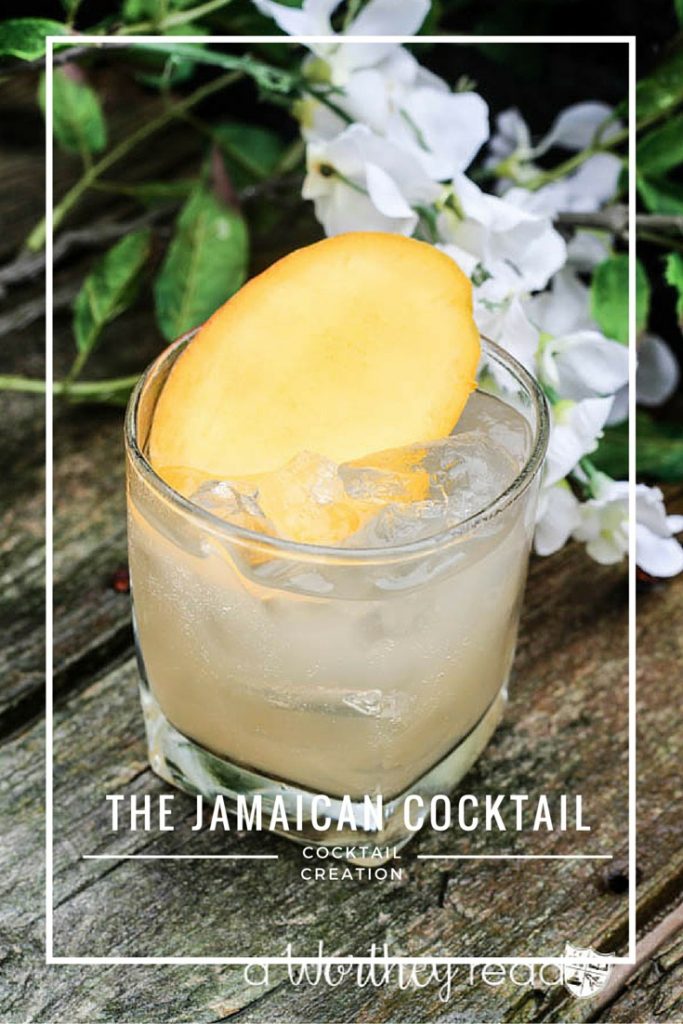 Easy Mixed Drinks like the Jamaican Cocktail are sure to please a crowd! Combine Gingerbeer, Vodka and Mango for a summer breeze cocktial- The Jamaican Cocktail