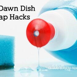 Dish Detergent can be used more than just washing dishes. Get tips on how to use Dish Soap in your daily routine: 12 Dawn Dish Soap Hacks