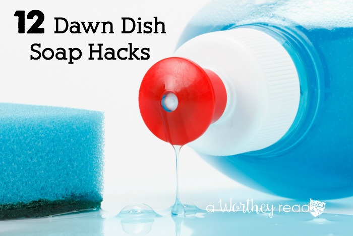 Dish Detergent can be used more than just washing dishes. Get tips on how to use Dish Soap in your daily routine: 12 Dawn Dish Soap Hacks