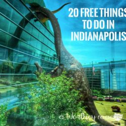 Taking a vacation to Indy this summer? There is a ton of things to do for family in Indianapolis. Check out our list of 20 Free Things to Do in Indianapolis Traveling in the midwest can be the best vacation!