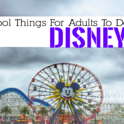 Disney is not just for kids! Every day adults have a blast at Disney! Find out all the cool things for adults to do at Disney!