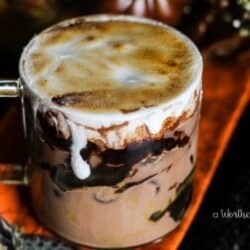 Curl up this fall with this delicious Pumpkin flavored hot chocolate. Pumpkin Spiced & Iced Cocoa with Roasted Marshmallow Creme