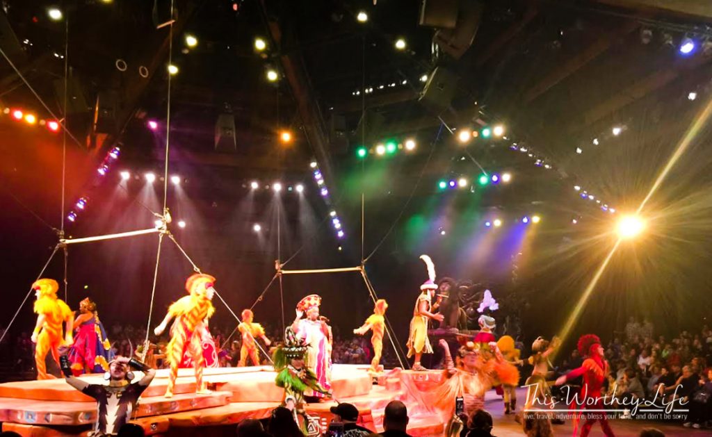 Disney's Animal Kingdom Lion King show