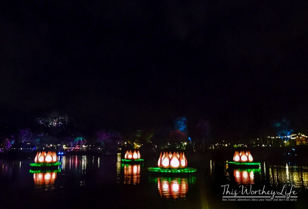 Disney's River of Light Attraction