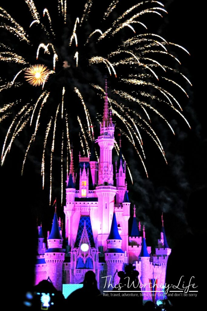 Magic Kingdom Fireworks