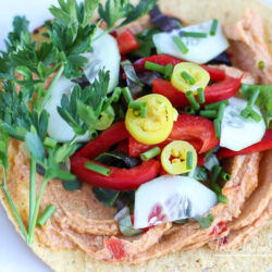 Vegan Veggie + Hummus Tostadas