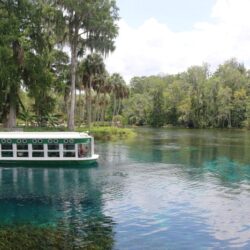 Adventures You Can Have In Ocala/Marion County Florida