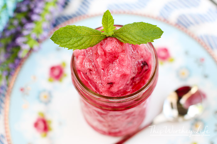 Bluebarb Frozen Slush {mocktail + cocktail ideas}