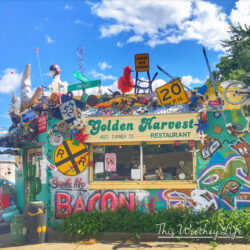 Best Breakfast spot in Lansing- Golden Harvest