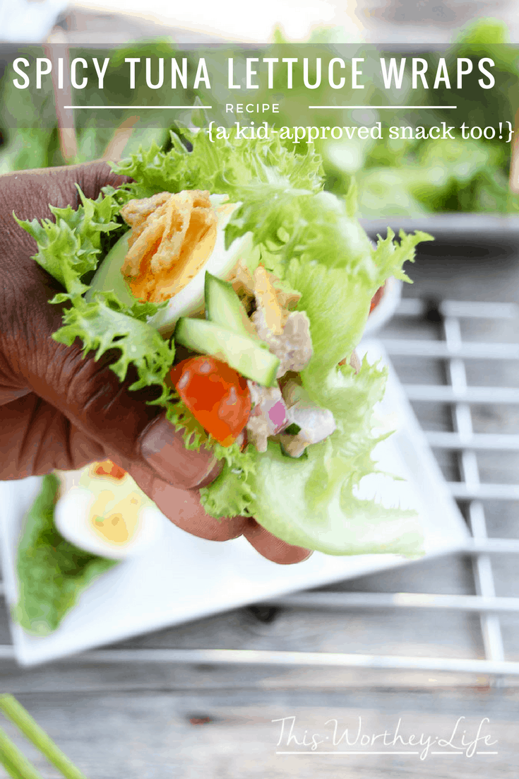 Our Spicy Tuna Lettuce Wraps is a great appetizer, light lunch idea, and a kid-approved after school snack. Plus, with game day right around the corner, this is a light, but an appealing appetizer to serve at your game watching party!