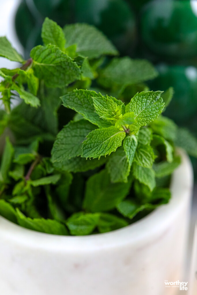 fresh mint in a white bowl