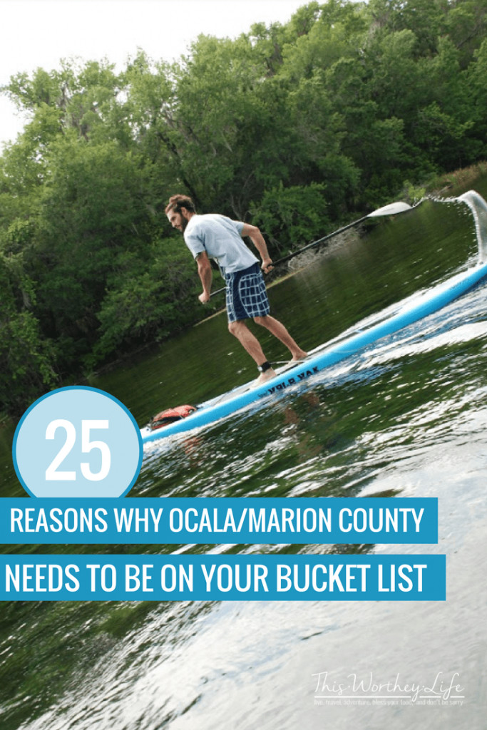 Ocala/Marion County has quite a lot to offer. Centrally located in Florida, this Florida Travel destination offers unique and memorable experiences for travelers looking to step outside the box and experience something new on their bucket list. Read on to see why Ocala/Marion County, Florida needs to be on your bucket list!