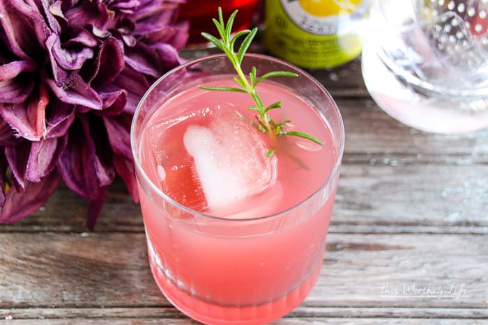 Pomegranate + Lemon Cocktail