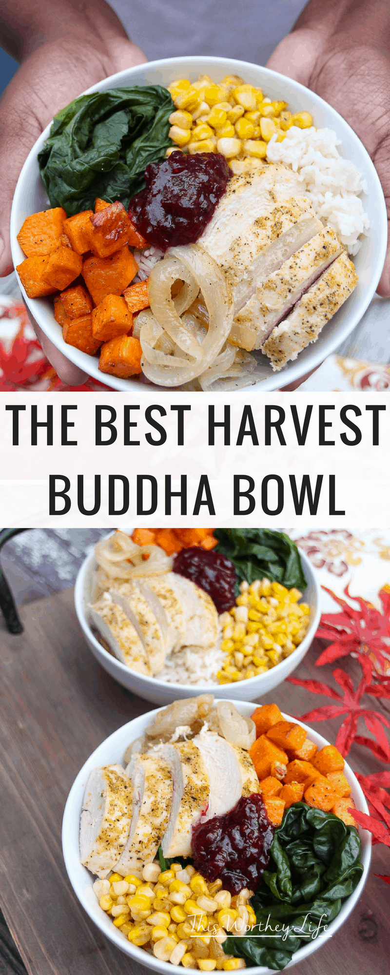 It's Thanksgiving in a bowl! Create a harvest buddha bowl with fresh produce, Jasmine rice, and deliciously seasoned chicken breasts. Get the recipe for our savory, with a sweet hint of Cranberry Sauce +Mint harvest bowl on the blog!