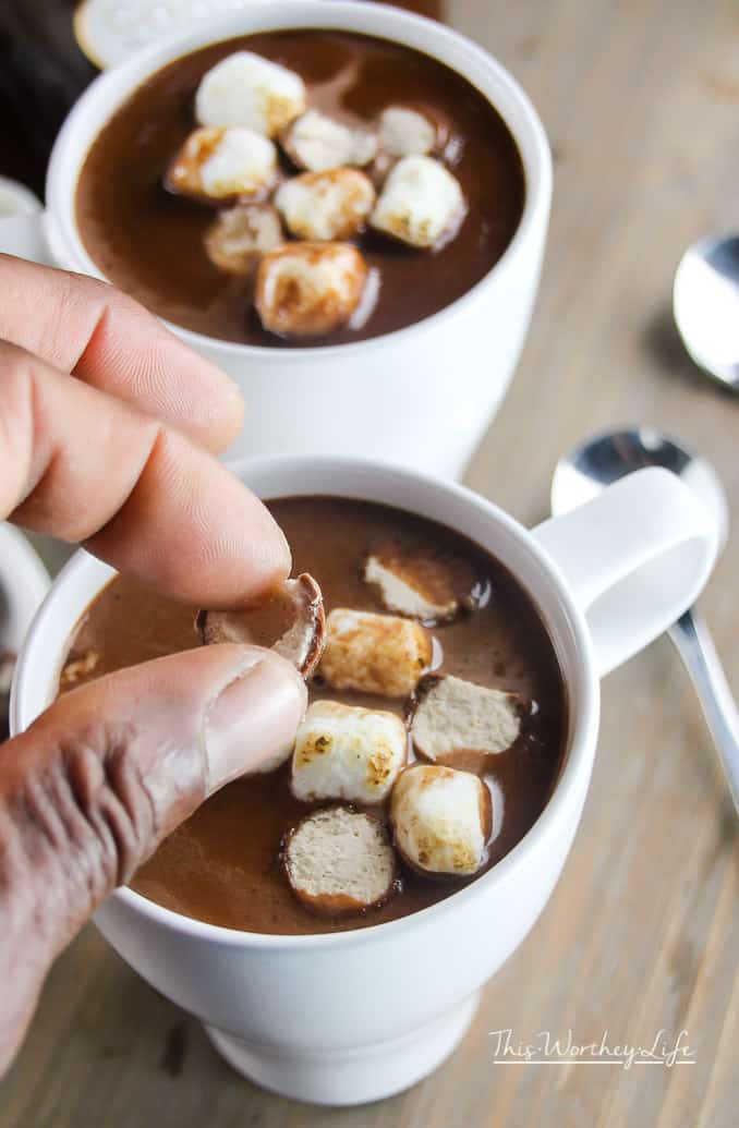 Cozy up with this hot winter drink's- a malted hot chocolate. Filled with rich chocolate, milk, and some whoppers, this quick hot chocolate recipe is ready to keep you warm on a cold winter's night. 